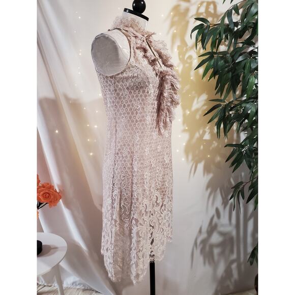 Diane von Furstenberg Olvida Lace Ruffle Silk Lined Dress Size 4 Beige Victorian - Picture 4 of 14